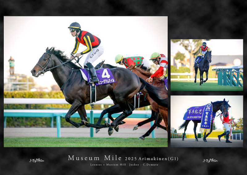 有馬記念・皐月賞優勝記念○スタイルパネル○ミュージアムマイル