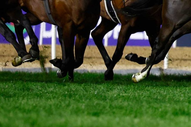 今頃気付いたけど…」TBSに映った