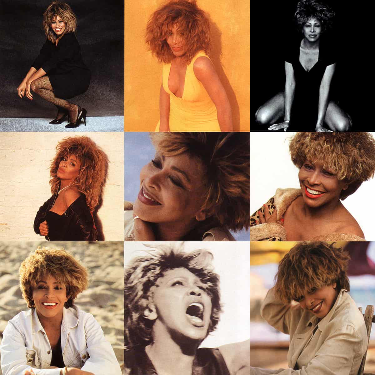 The Collected Recordings - Tina Turner