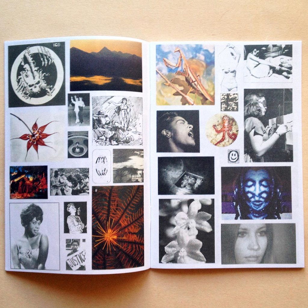 Weird Bookshelf: FUCK THIS LIFE - Dave FTL - The Weird Show