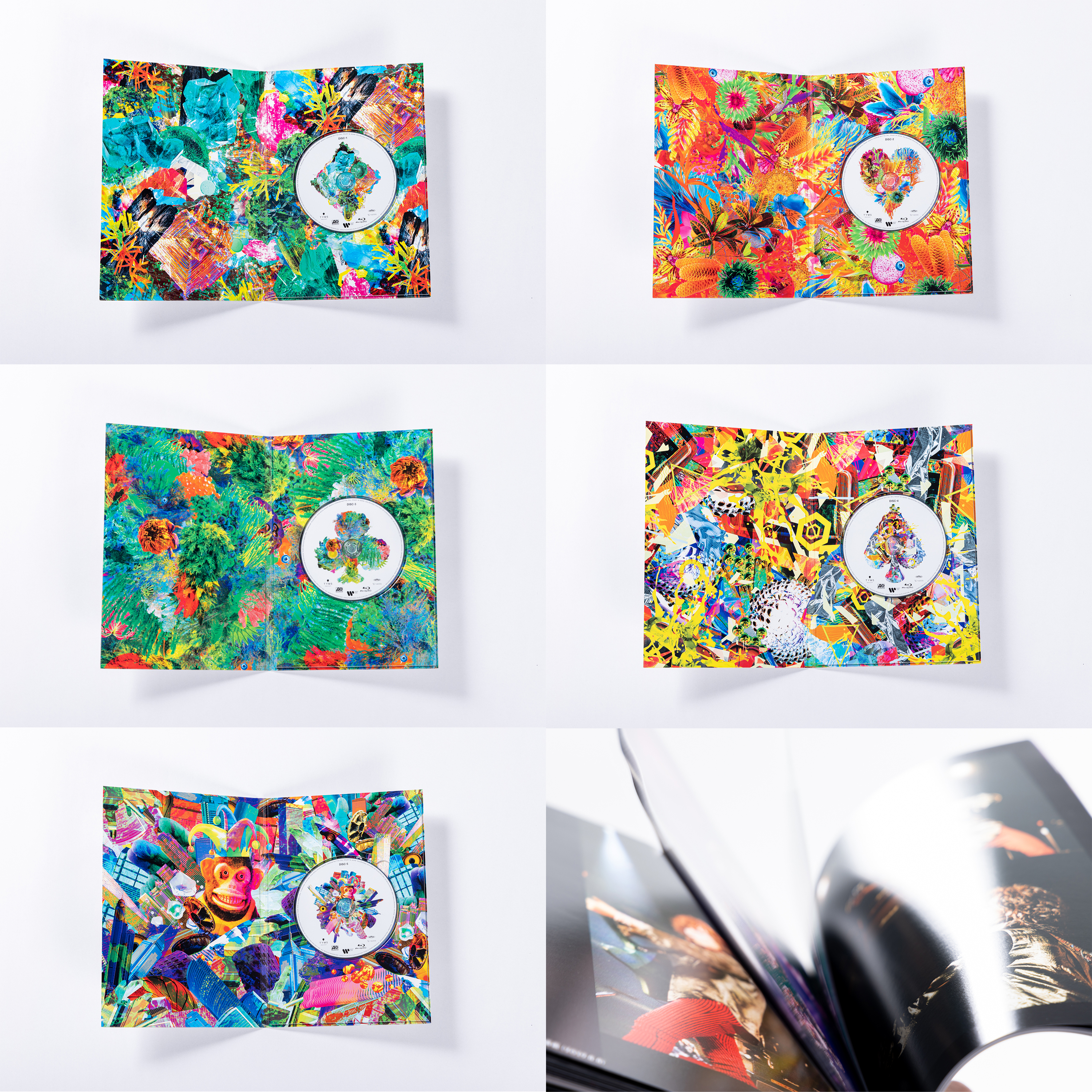 THE YELLOW MONKEY | ザ・イエロー・モンキー オフィシャルサイト