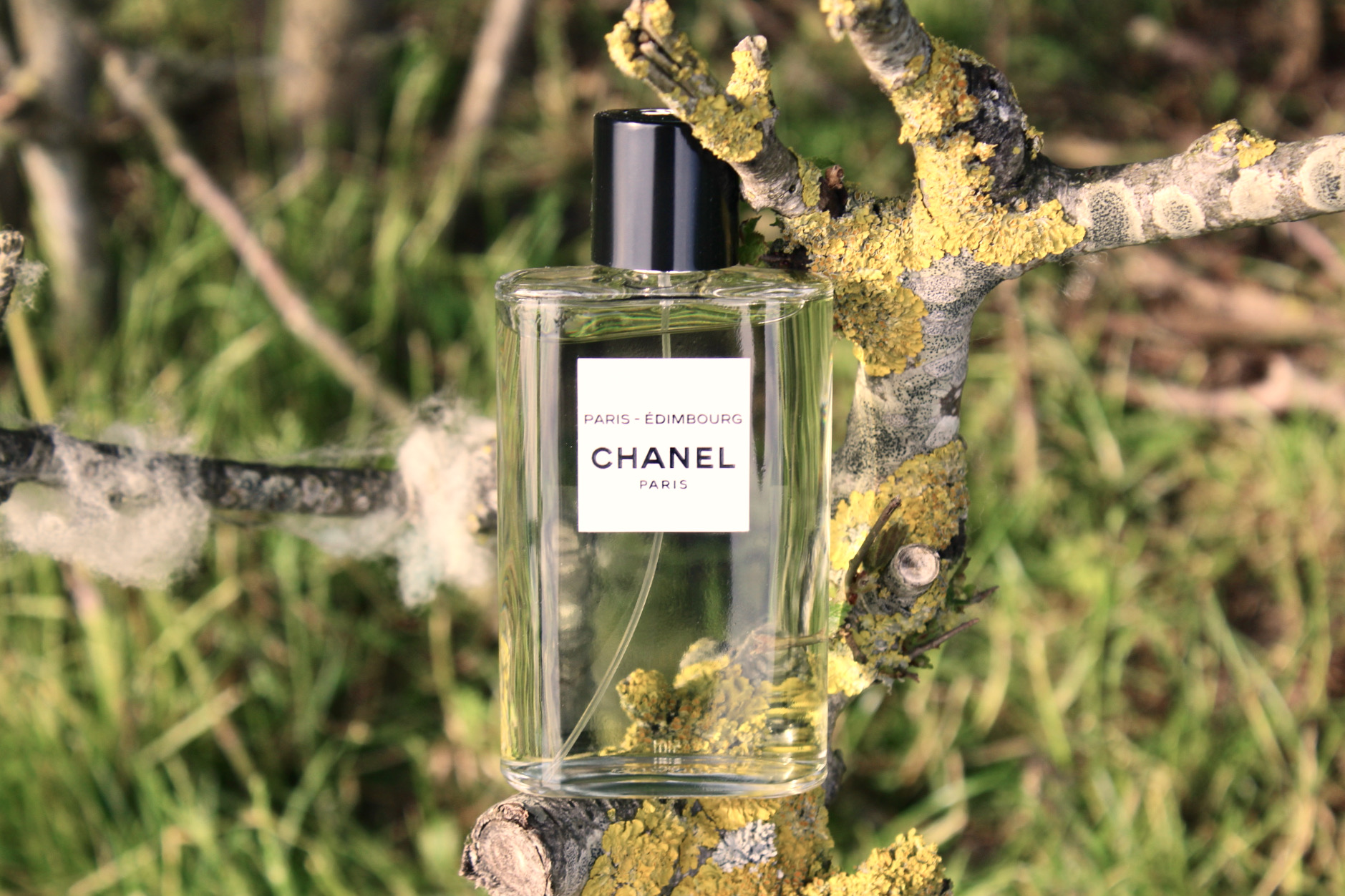Perfume Review: Paris-Édimbourg by CHANEL – The Candy Perfume Boy