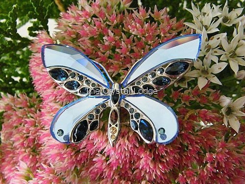 SWAROVSKI CRYSTAL PARADISE BUGS BROOCH - BUTTERFLY ALMADA SAPPHIRE