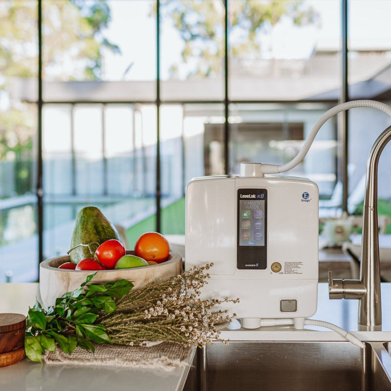 Leveluk K8 Hydrogen Rich Electrolysed Reduced Kangen Water Ionizer