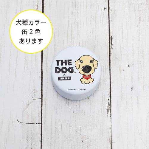 Golden Retriever | The Dog Store | The Dog Official Online Shop