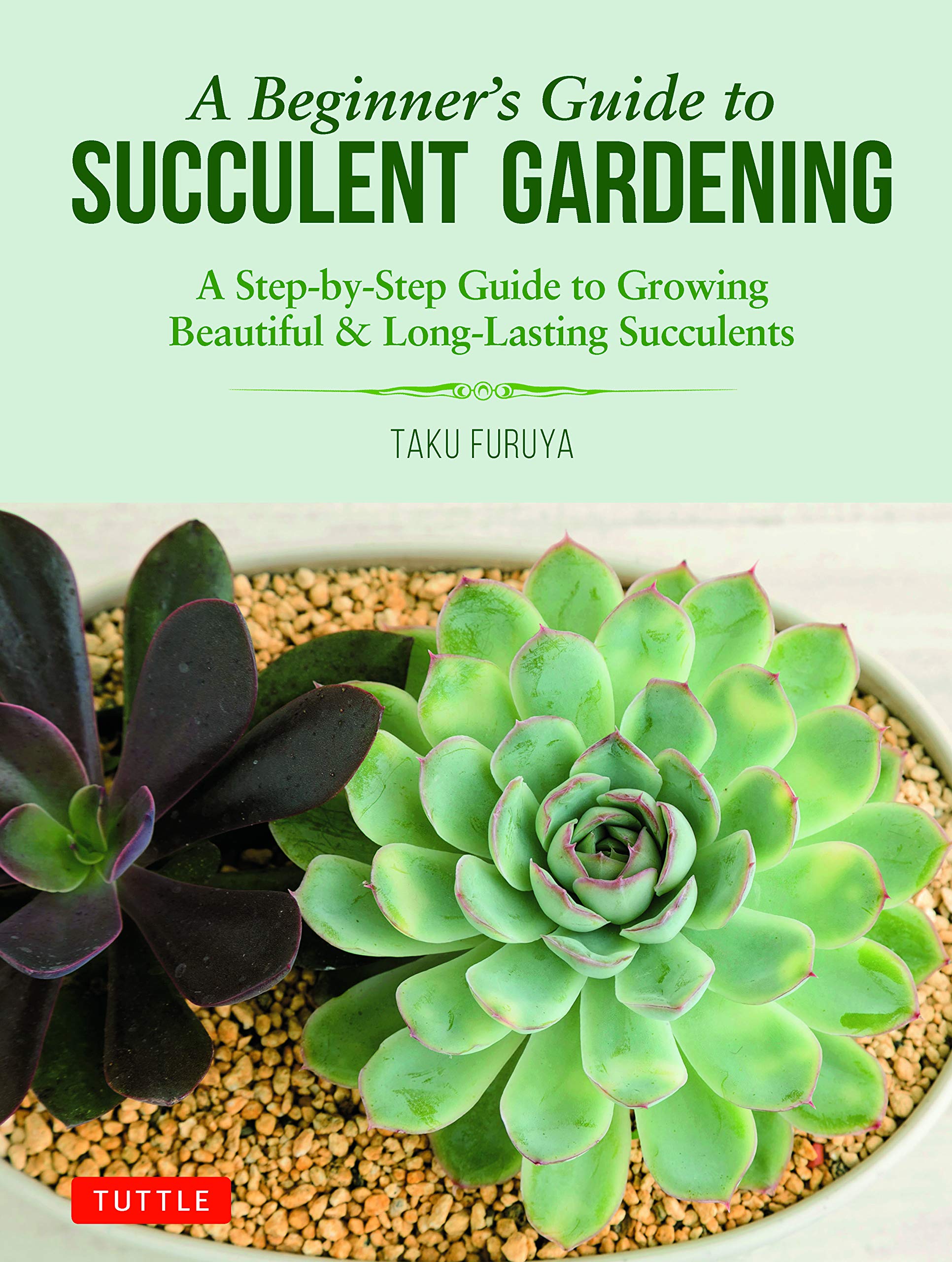 A BEGINNER'S GUIDE TO SUCCULENT GARDENING - The Huntington Store