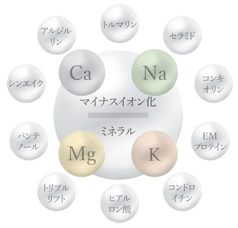 製品案内 ｜Chino THE METHOD ｜自分史上最美ボディ by Chino