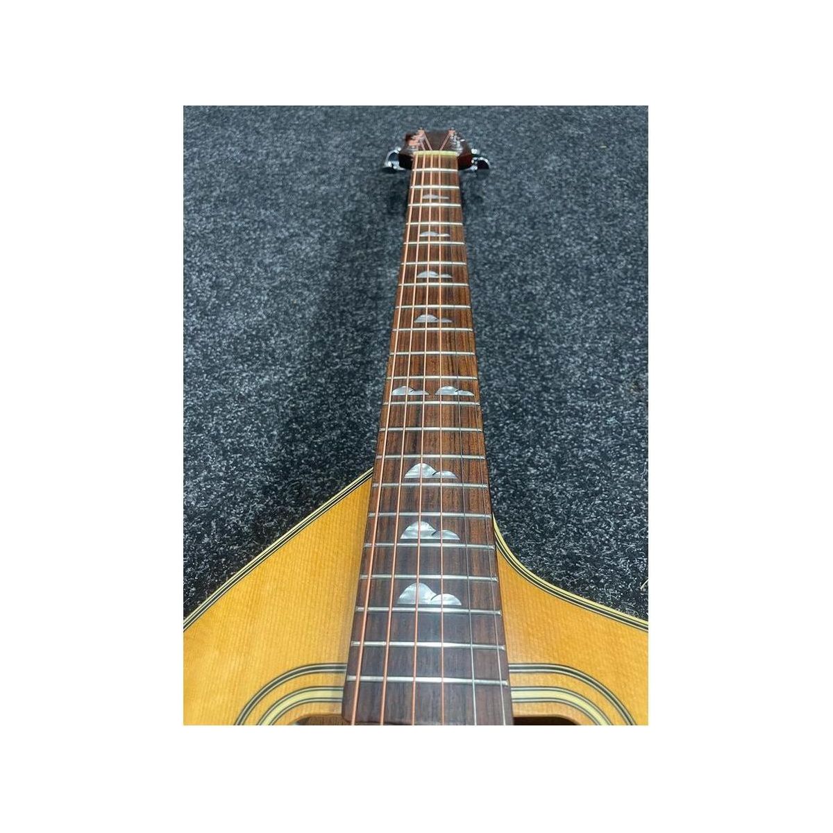 Jay Turser Giannini Steel Acoustic Guitar JTA-CRA-6S NG Pre-Owned