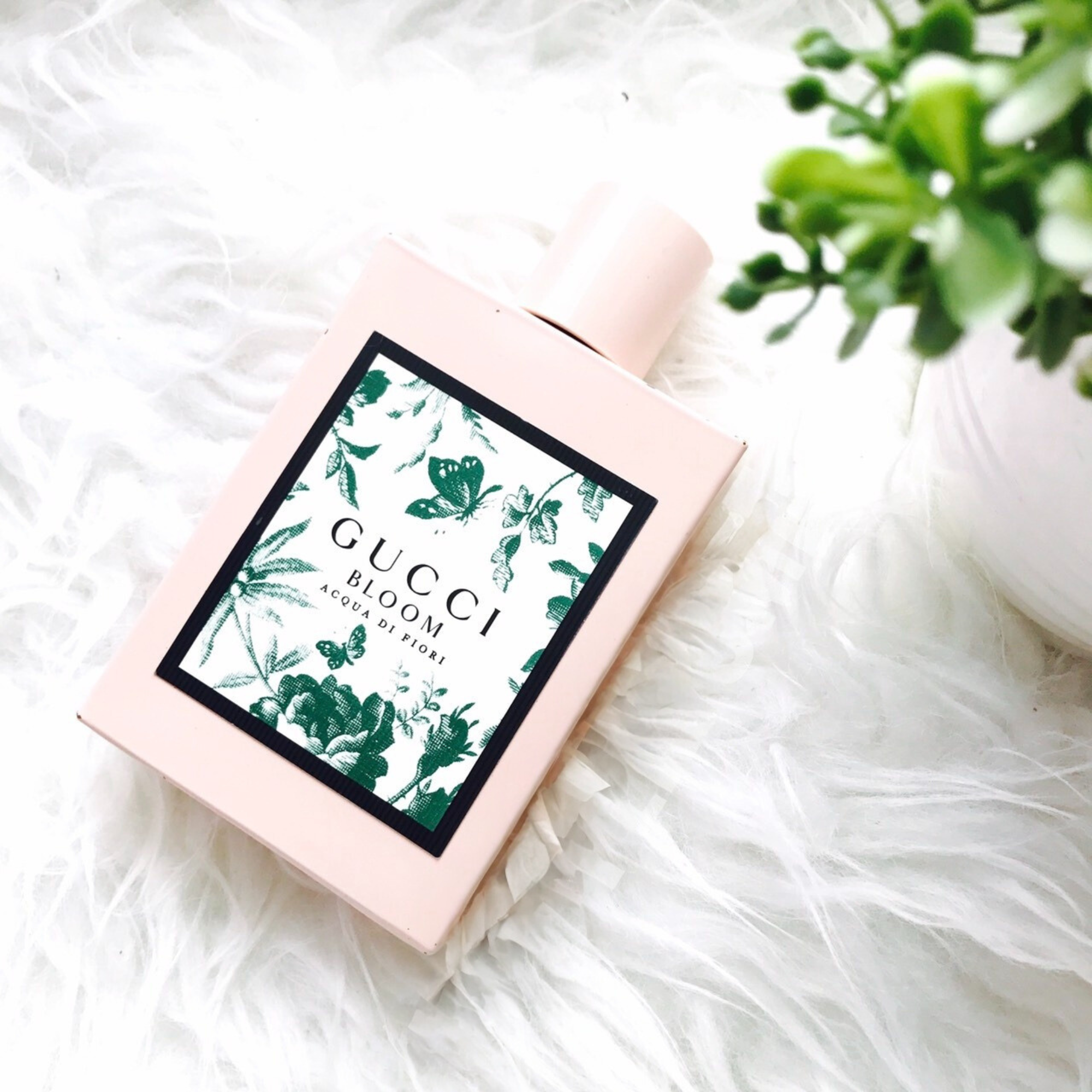 ThePerfumeStore_455196be-249a-