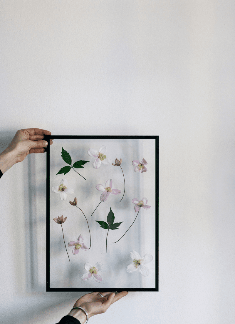 Transparent Moebe Frame Black - THE POSTER CLUB