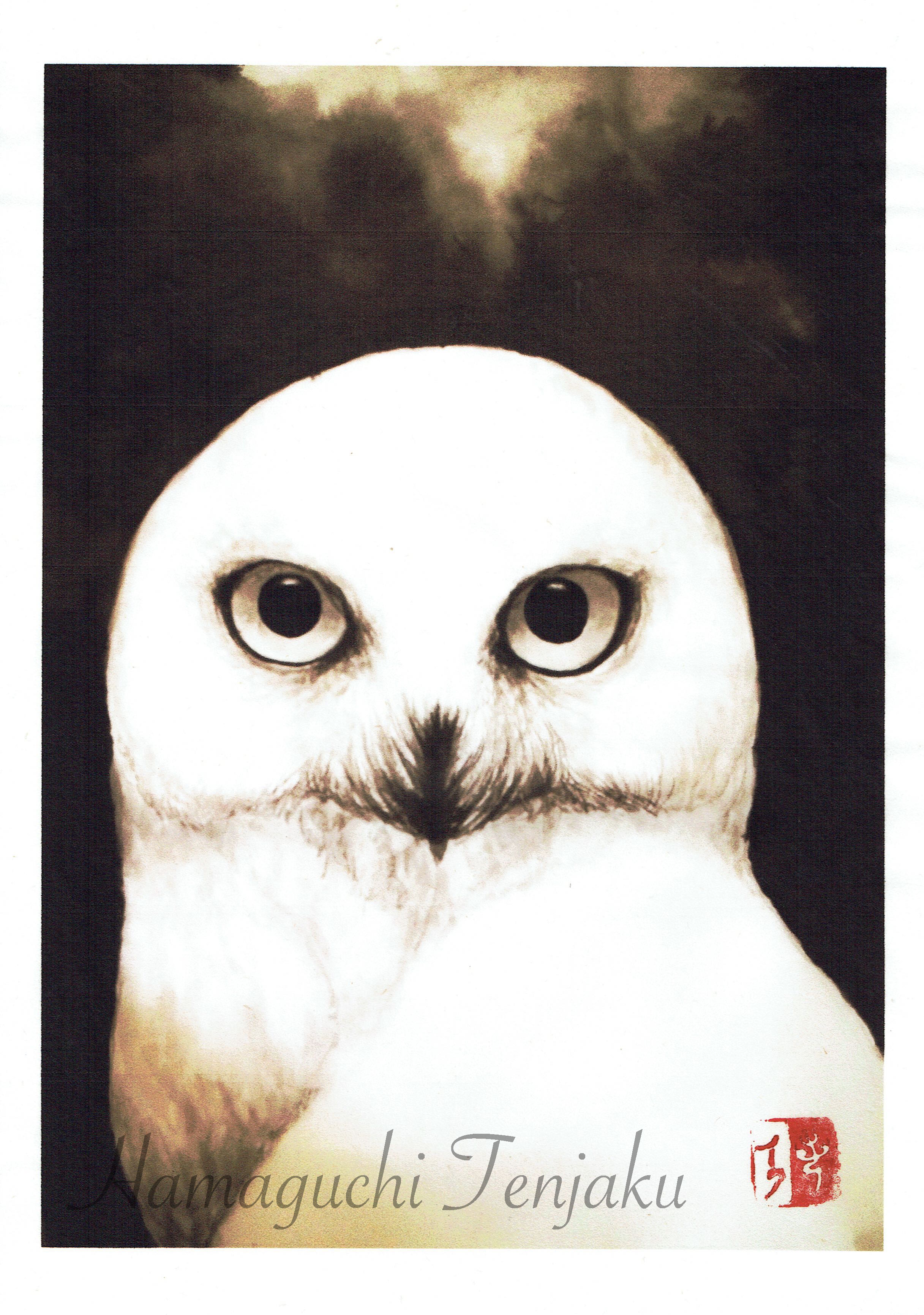 白梟（シロフクロウ）図 | 濱口 天若 ｜インテリア絵画 アートの専門