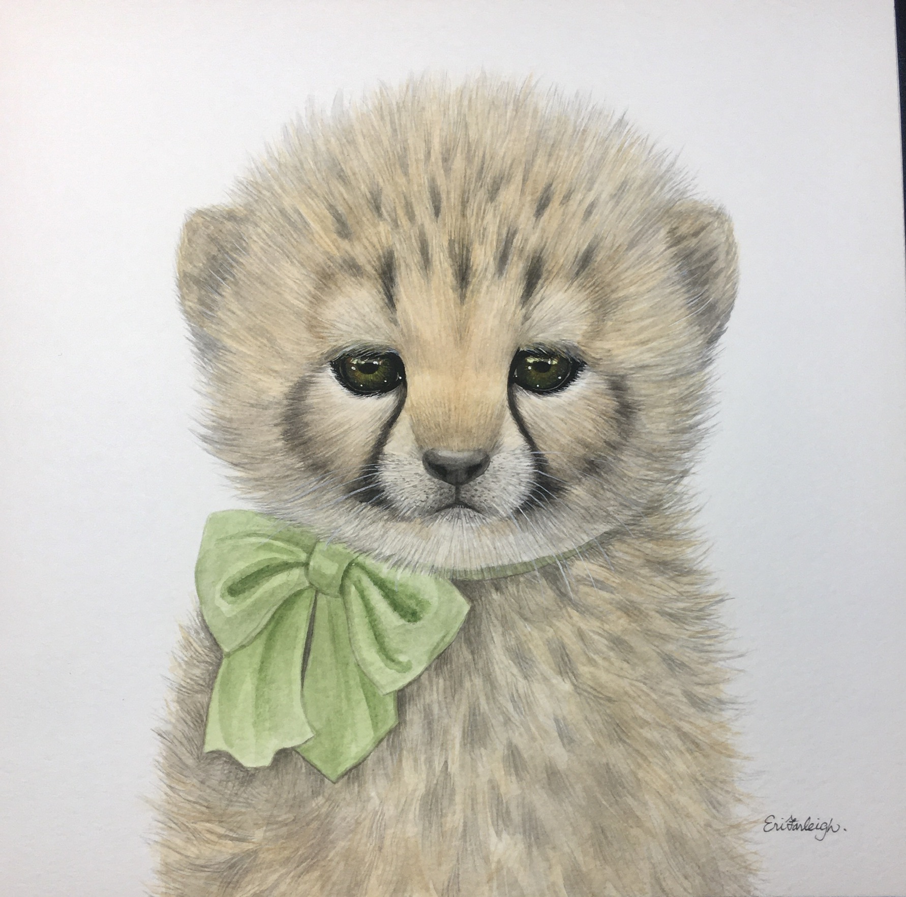 チーターの赤ちゃん | ファーレイ恵梨 ｜インテリア絵画 アートの専門