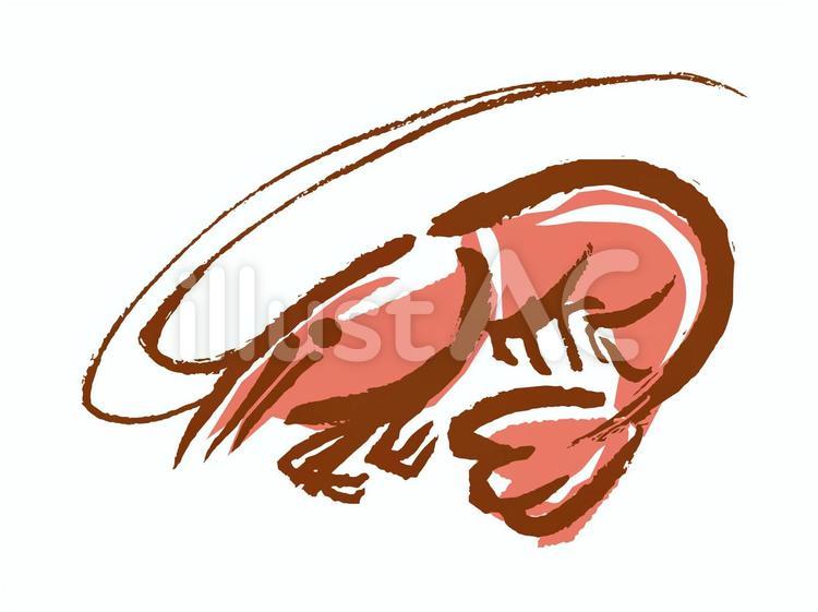 えび_海老_エビ_手描き_筆_a_彩イラスト - No: 2214928｜無料イラスト