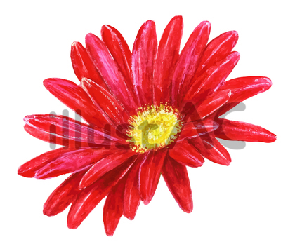 5afdd14762087aa3445d7a950cffc8