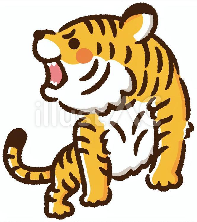 掛軸のかわいい虎_横〈虎だけ〉イラスト - No: 22198434｜無料イラスト