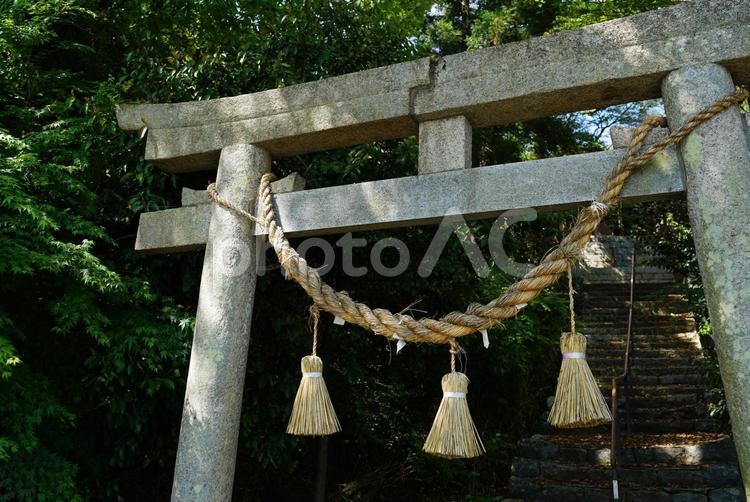 神社の鳥居としめ縄 - No: 23743409｜写真素材なら「写真AC」無料