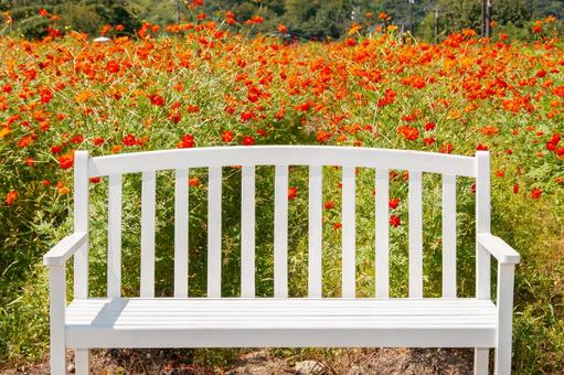 お花畑のベンチの写真素材｜写真素材なら「写真AC」無料（フリー