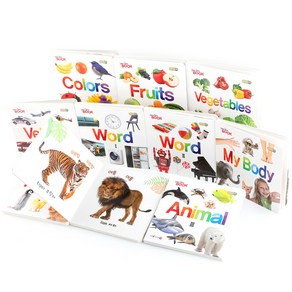 NEW DK My First Collection 10종 세트 (세이펜호환 /2024년 Renewal판