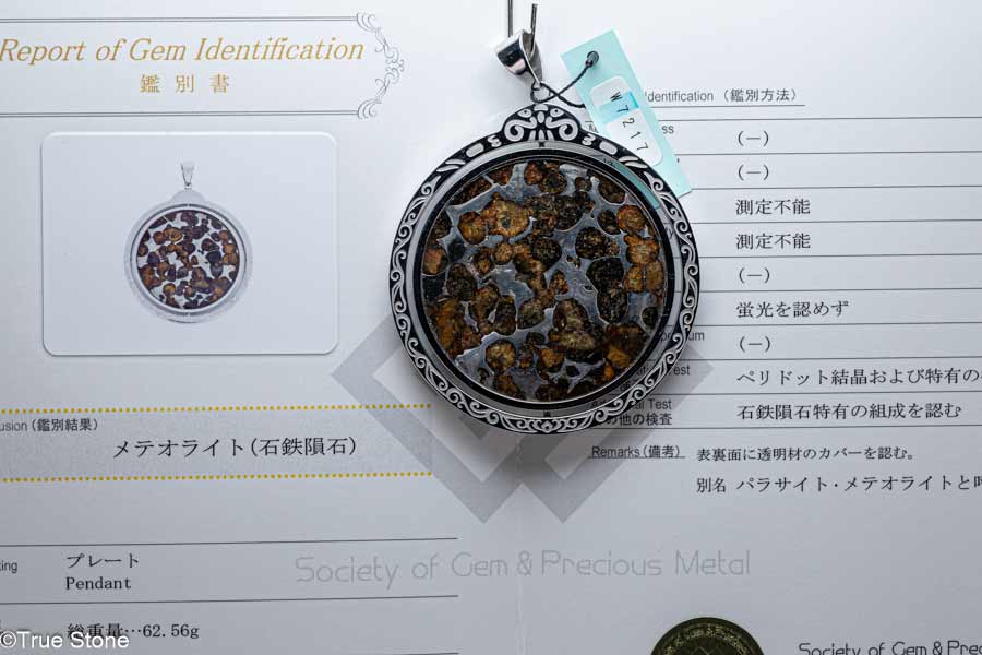 楽天市場】ラサイト・セリコ隕石の通販