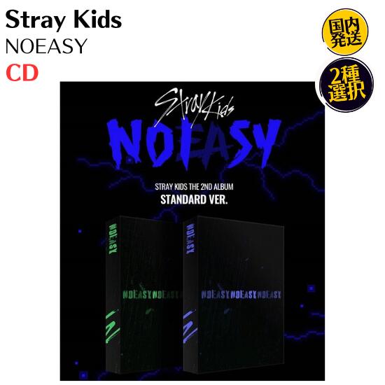 楽天市場】straykids noeasyの通販