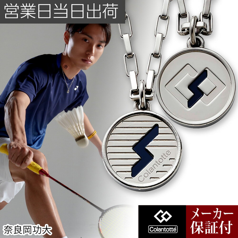 楽天市場】哀川翔 ネックレス（磁気・チタン・ゲルマニウム