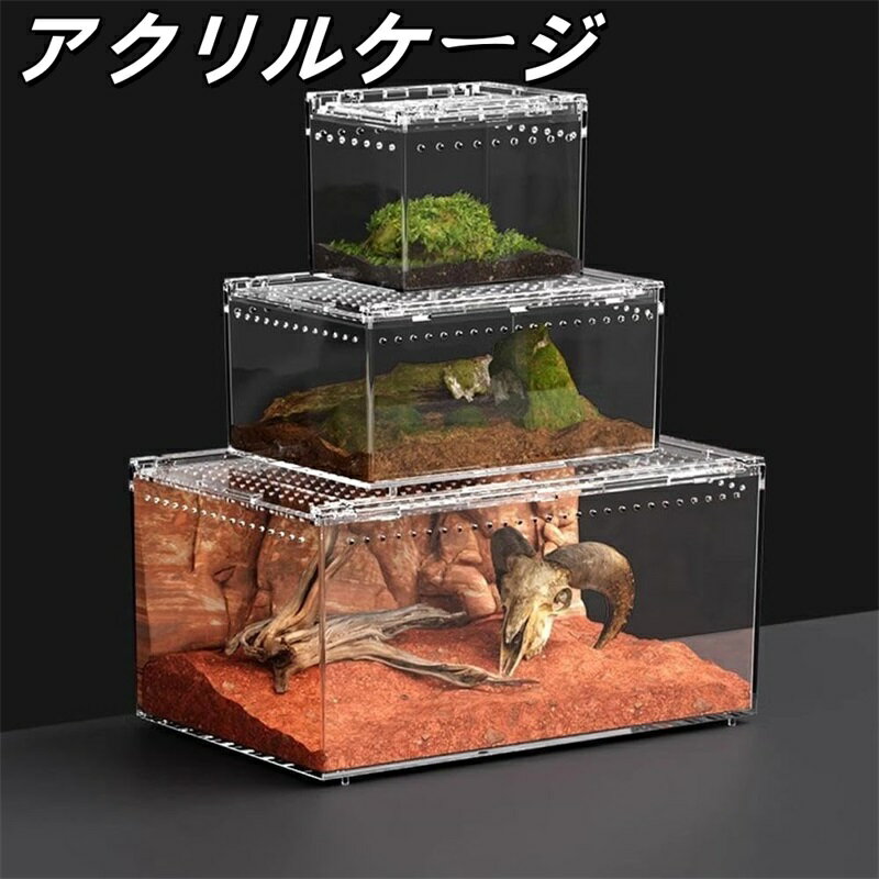 楽天市場】蛇 ケージ（その他｜爬虫類・両生類）：ペット・ペット