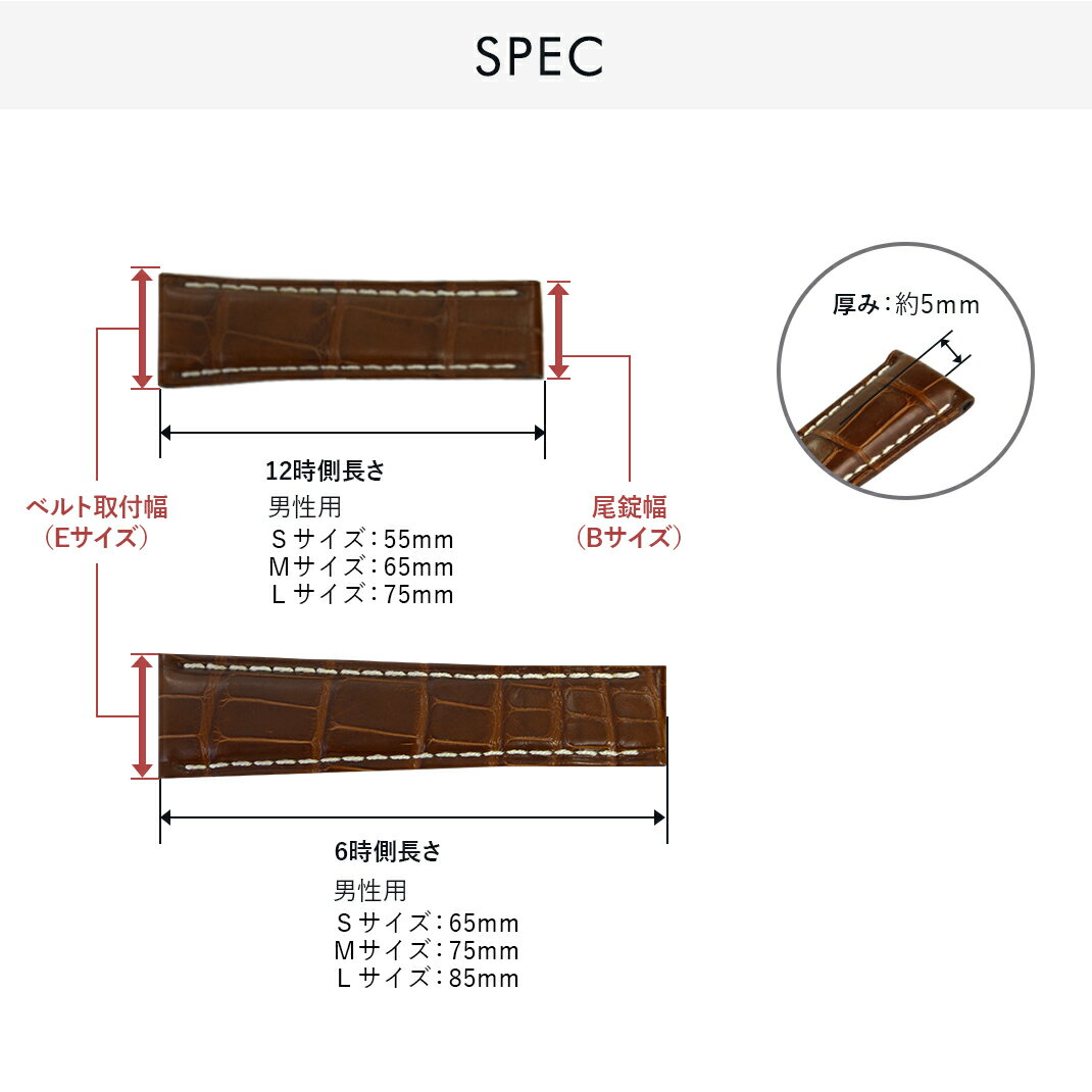 楽天市場】ロレックス（ROLEX） デイトナ用 裏面防水 ベルト バンド
