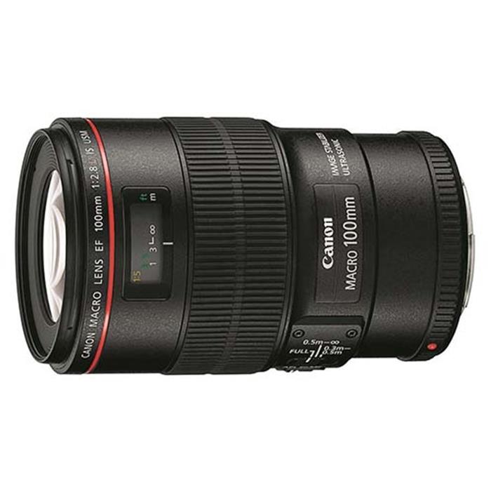 楽天市場】ef100mm f2 8l マクロ is usmの通販