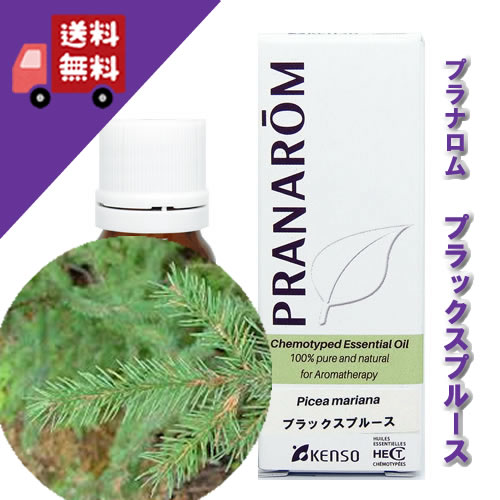 楽天市場】【ブラックスプルース 10ml】→清涼感と苦みのあるウッディ