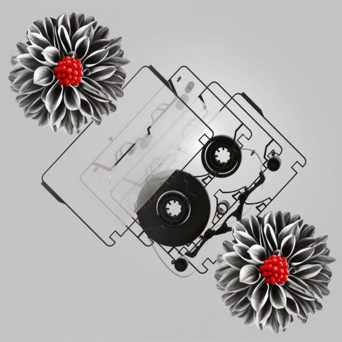 中古｜即購入OK!｜希少】wowaka CD5枚まとめ売りセット 中古｜即購入OK