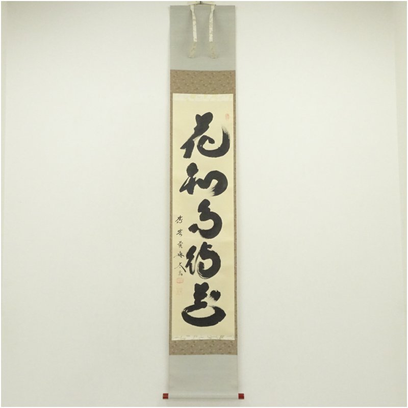 楽天市場】小林太玄の通販