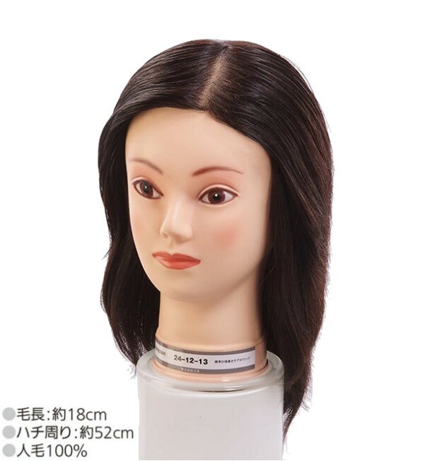 楽天市場】国家試験 カット 本番用の通販