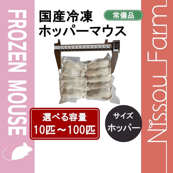 楽天市場】ホッパー 冷凍マウスの通販