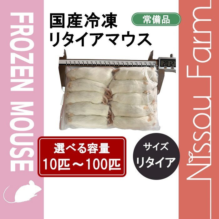 楽天市場】冷凍 マウス リタイアの通販