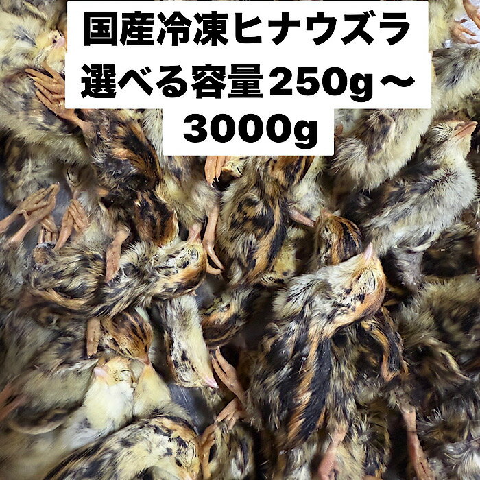 楽天市場】ウズラ 冷凍の通販