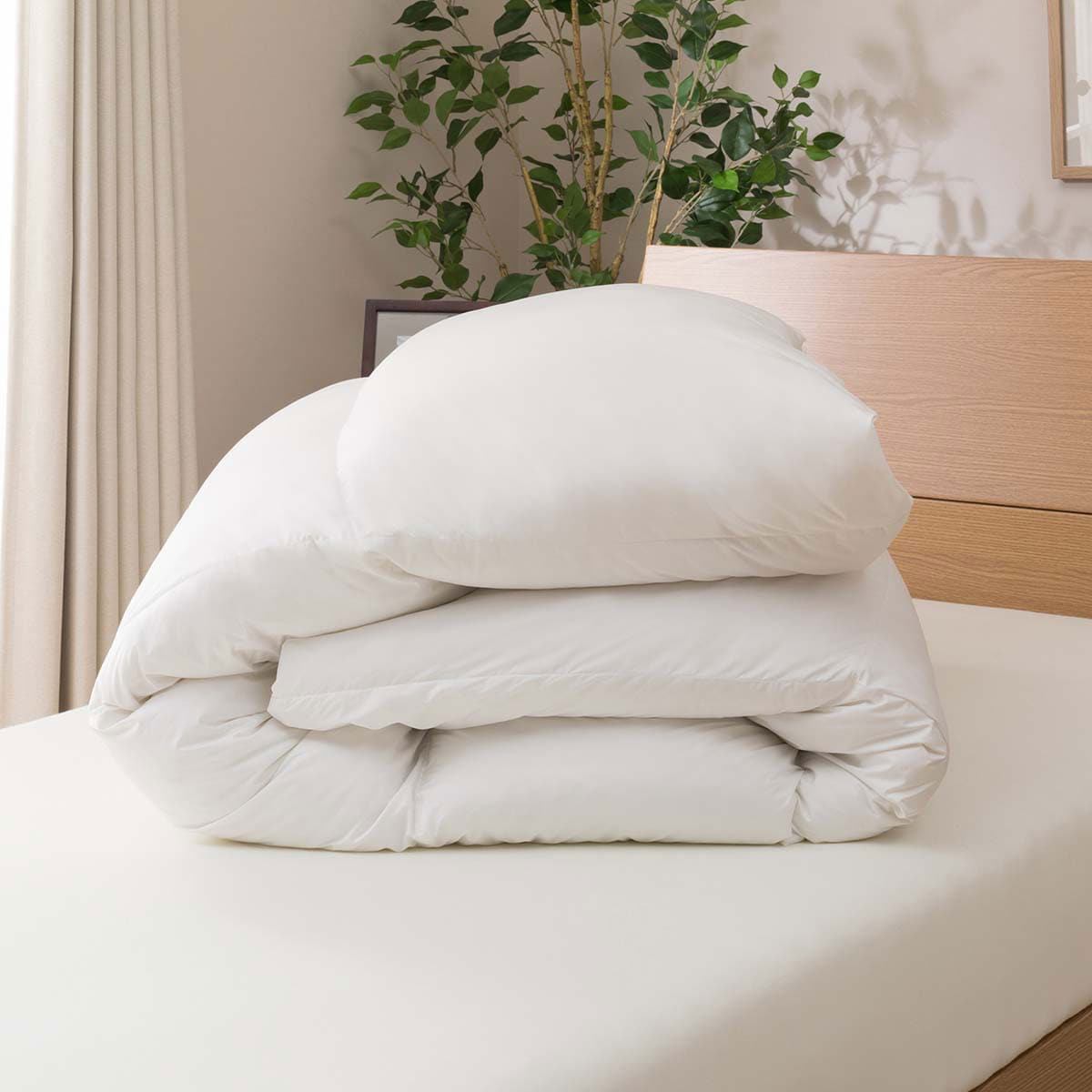 かるふわ羽毛掛ふとん セミダブル(UL-o SD) 【・玄関先迄納品】 【1年