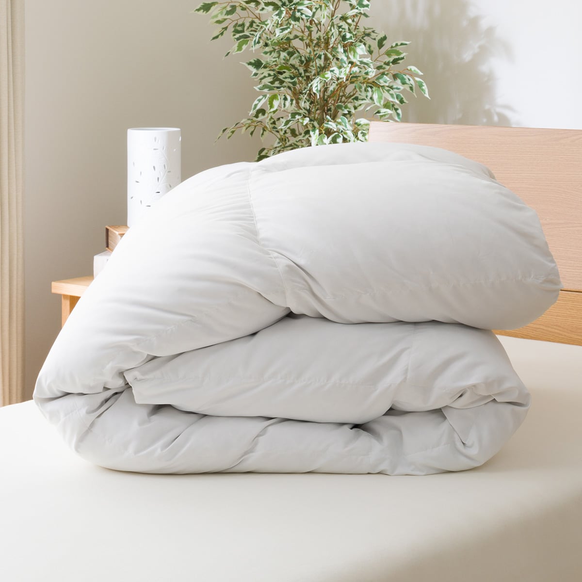 羽毛掛け布団 シングル(S-n1 S) 【1年保証】 | ニトリの布団・布団