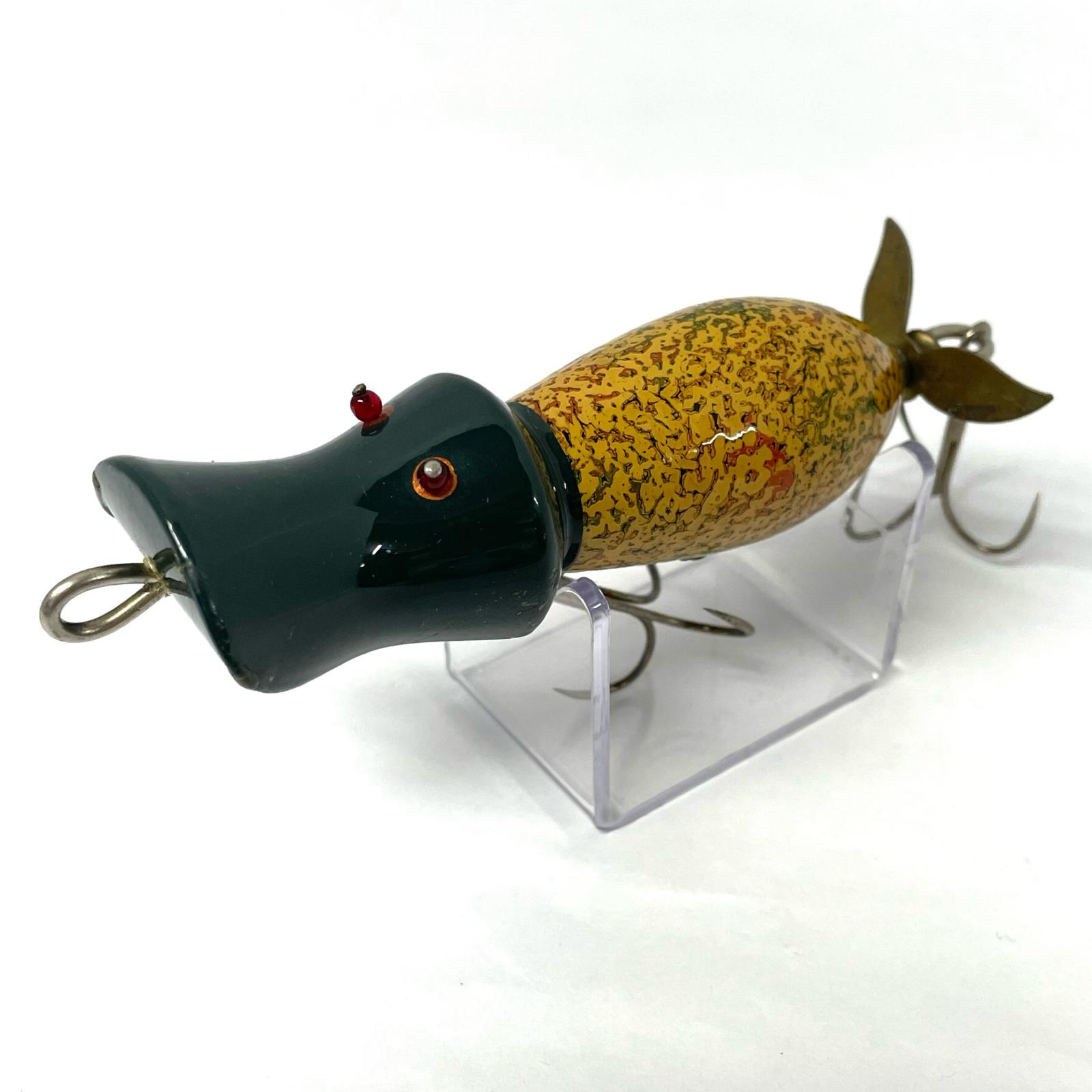 道楽 アナゴイヌ 虎 dowluck 桐箱付き 道楽 アナゴイヌ 虎 dowluck 桐