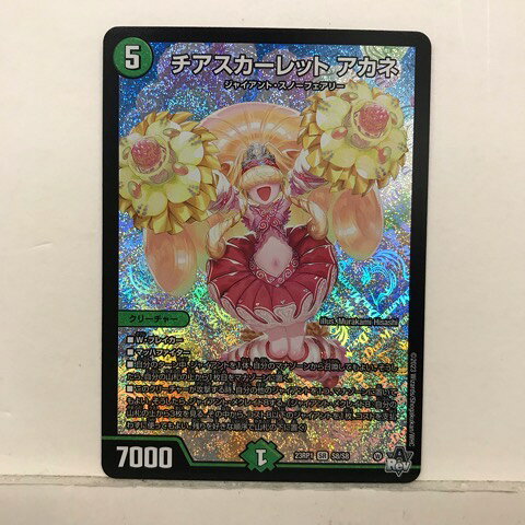 楽天市場】チアスカーレット アカネの通販