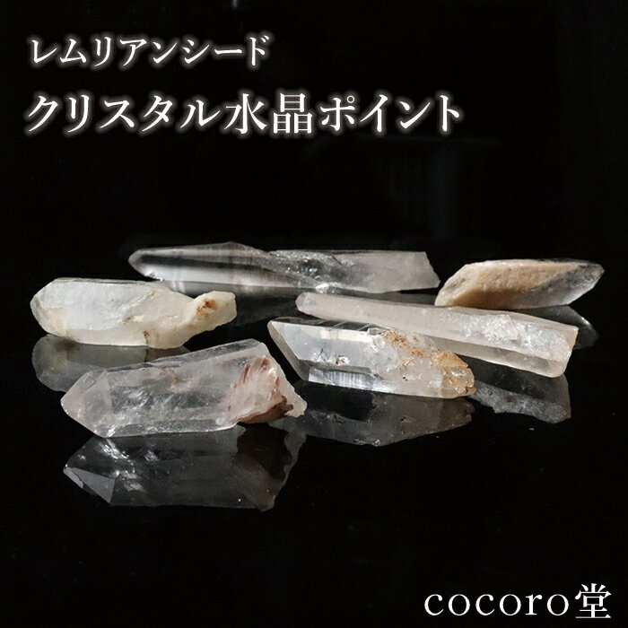 楽天市場】レムリアン シードの通販