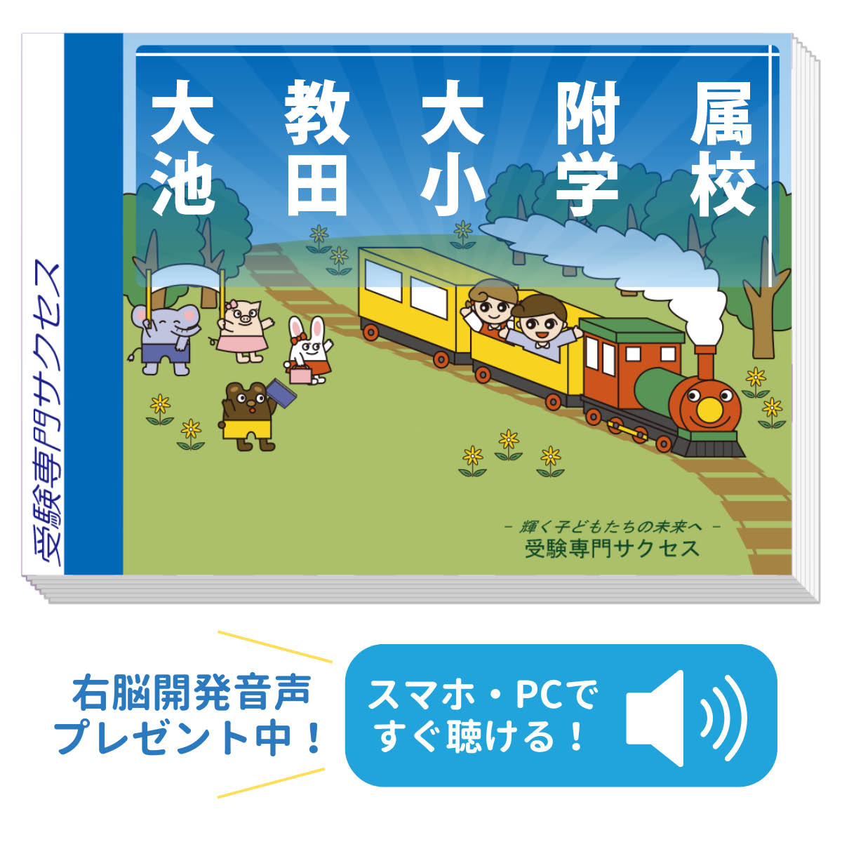 楽天市場】池田附属小学校 問題集の通販