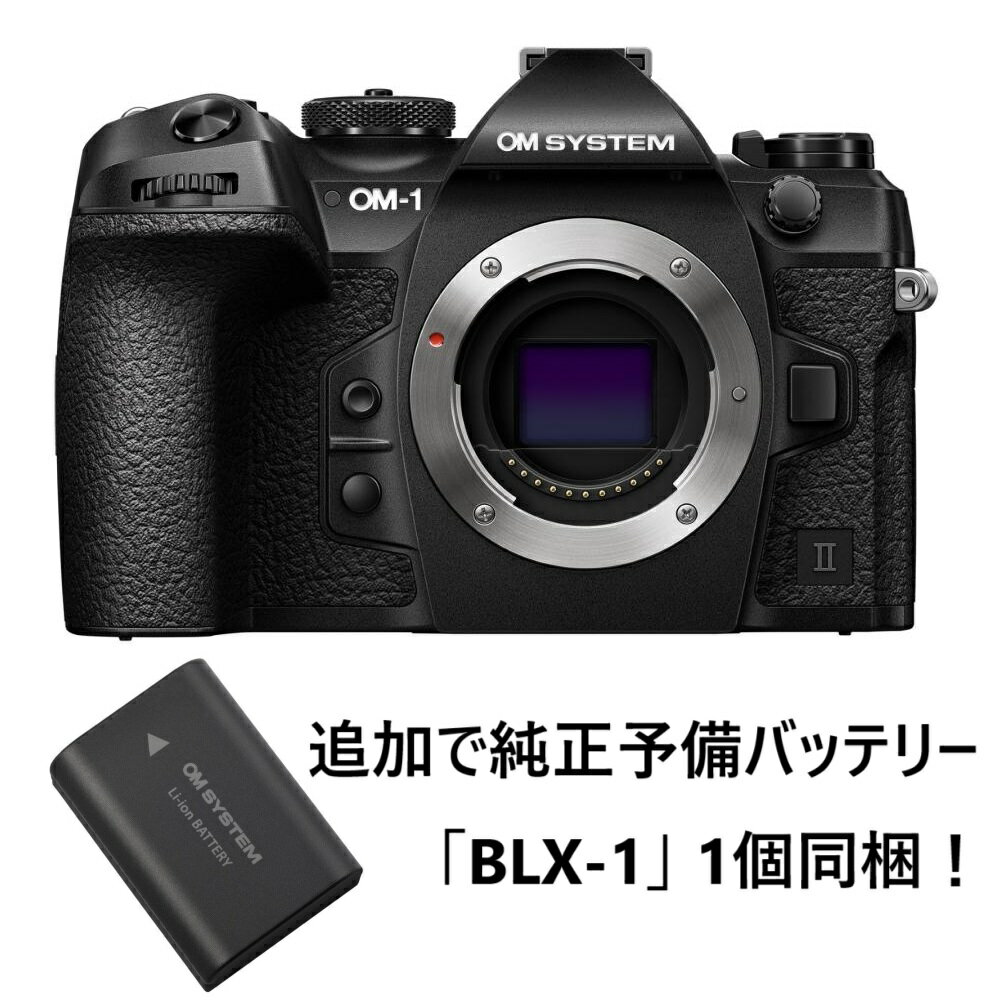 OLYMPUS OM-1 フィルム一眼レフカメラ レンズ2本セット 楽天市場