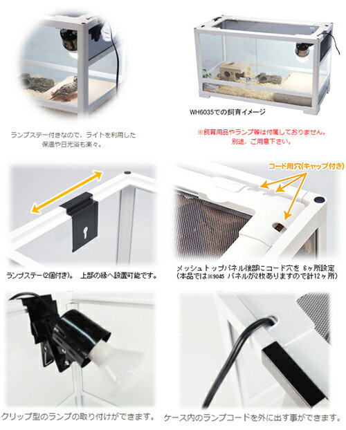 三晃商会 SANKO レプティワイルド パンテオン ホワイト WH4535（45.5