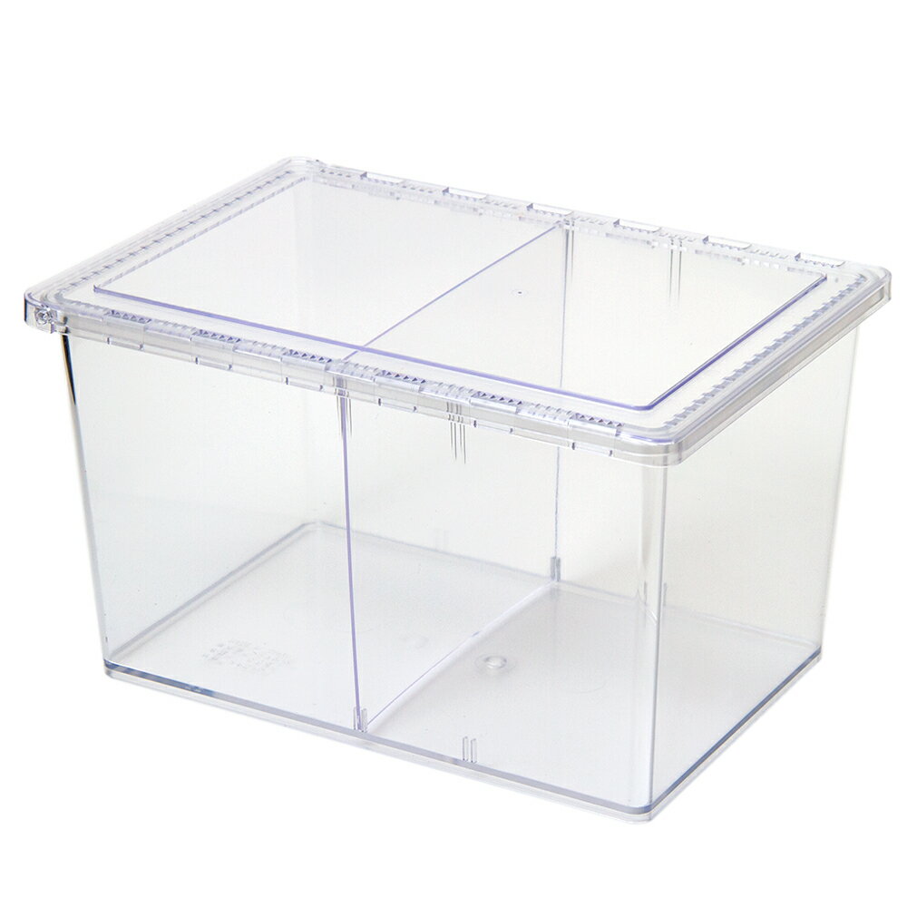 楽天市場】クリアースライダー 小の通販