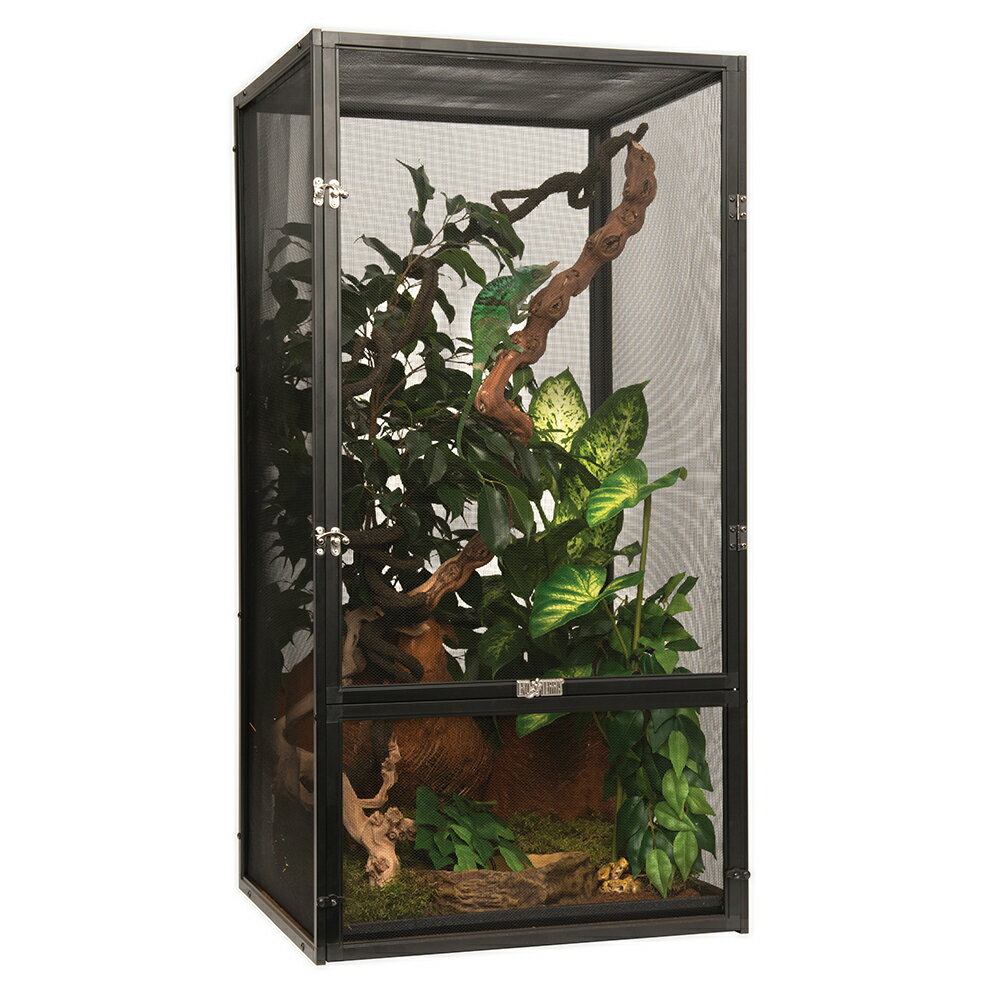 ケージはガラス？メッシュ？カメレオンのケージの選び方【解説