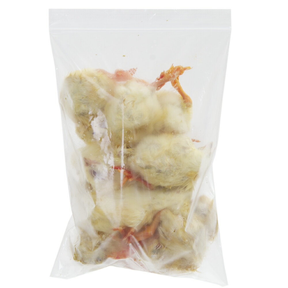 楽天市場】ひよこ 冷凍（ペット・ペットグッズ）の通販