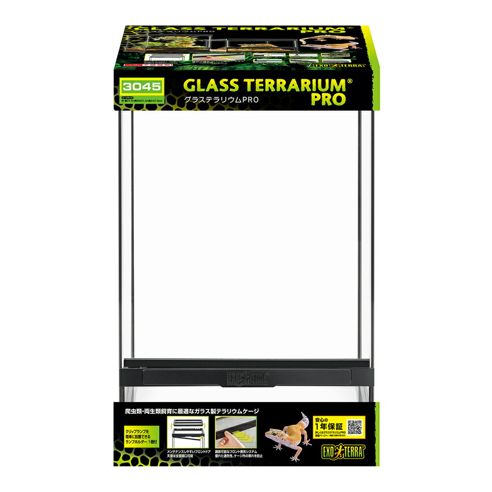 楽天市場】エキゾテラ 4530の通販