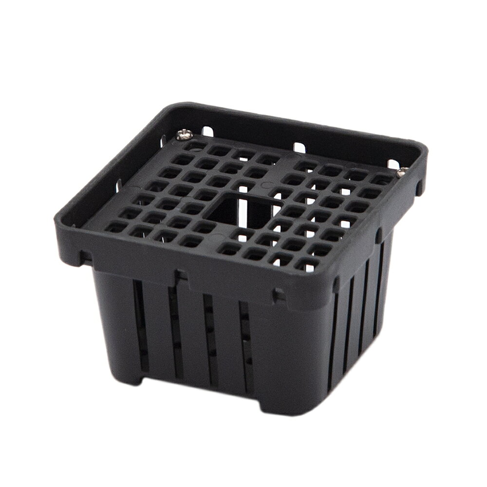 楽天市場】ビカクシダ バスケットの通販