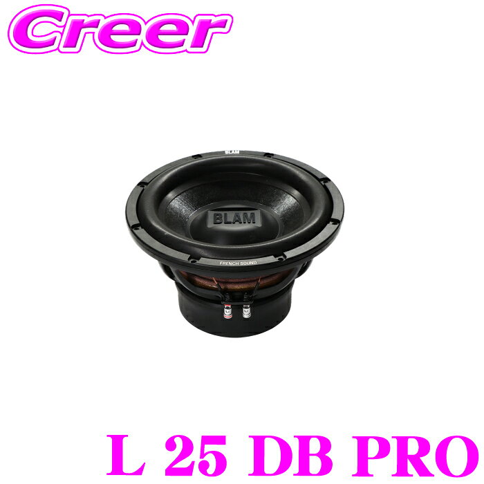 楽天市場】10インチ ウーファーの通販