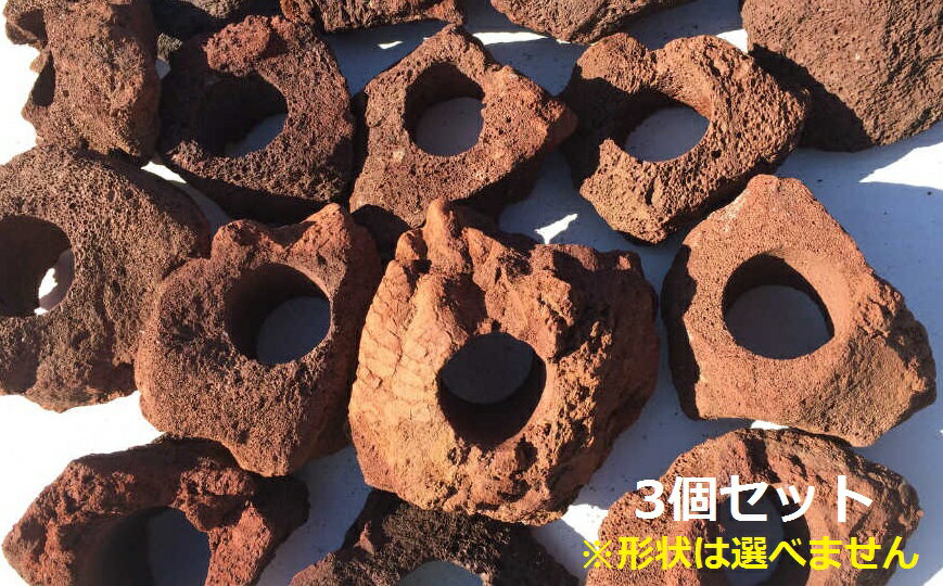 楽天市場】溶岩石 穴開きの通販